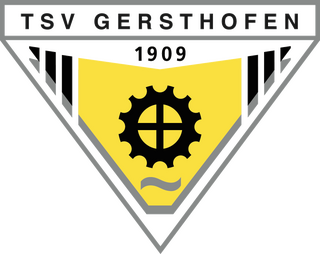 logo-tsv_transparent--10-2019