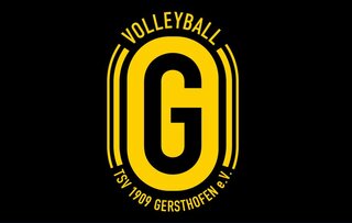 volleyball-schwarz-gelb